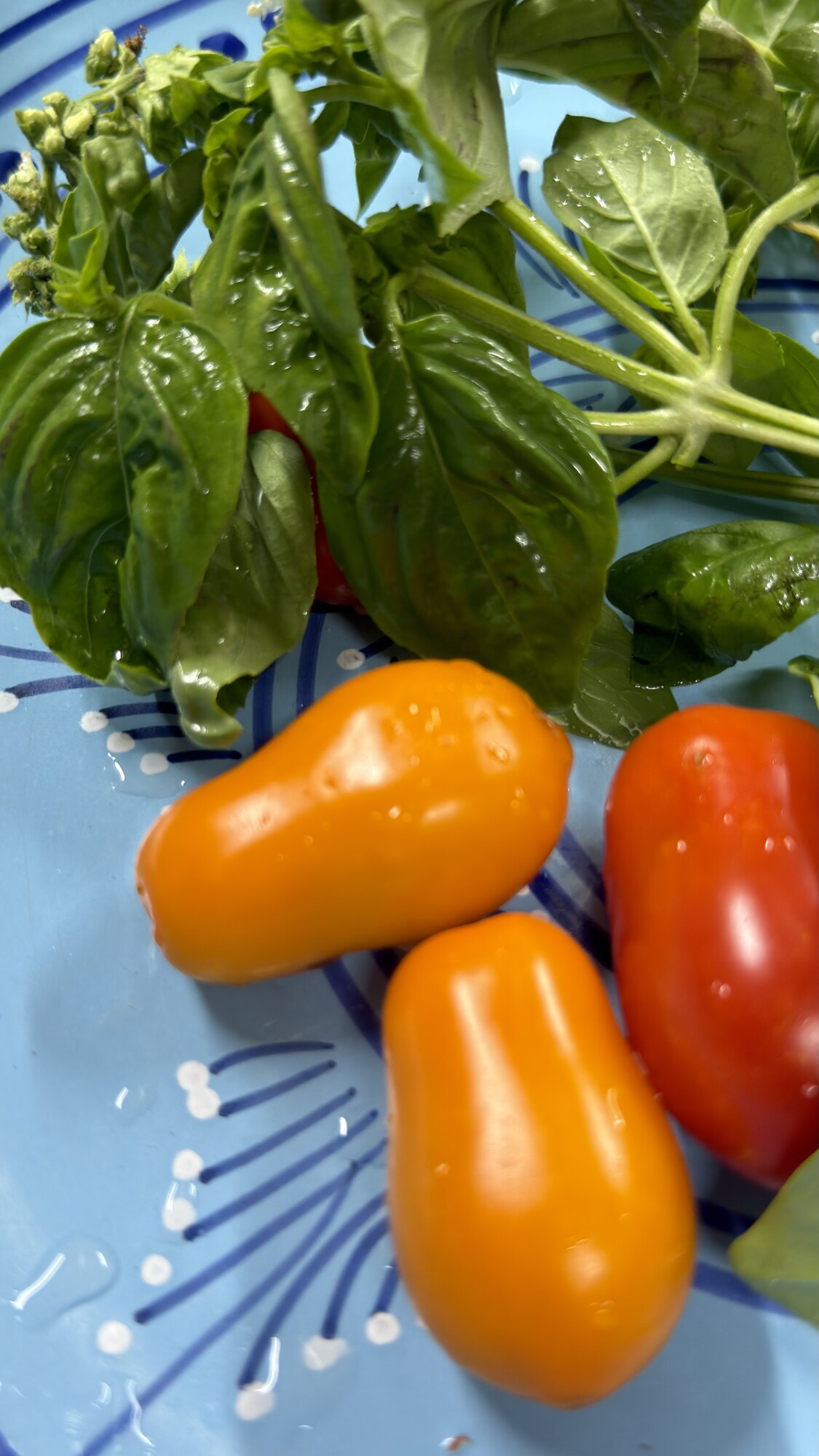 Materia prima mediterranea nella cucina di Zenzero